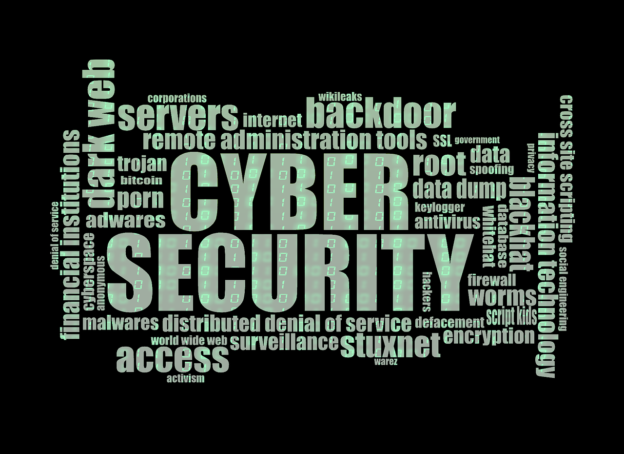 Studie „Cybersicherheit in Zahlen“